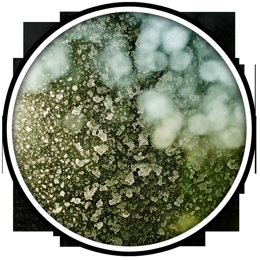 Close-up of hard water and mineral staining on window glass